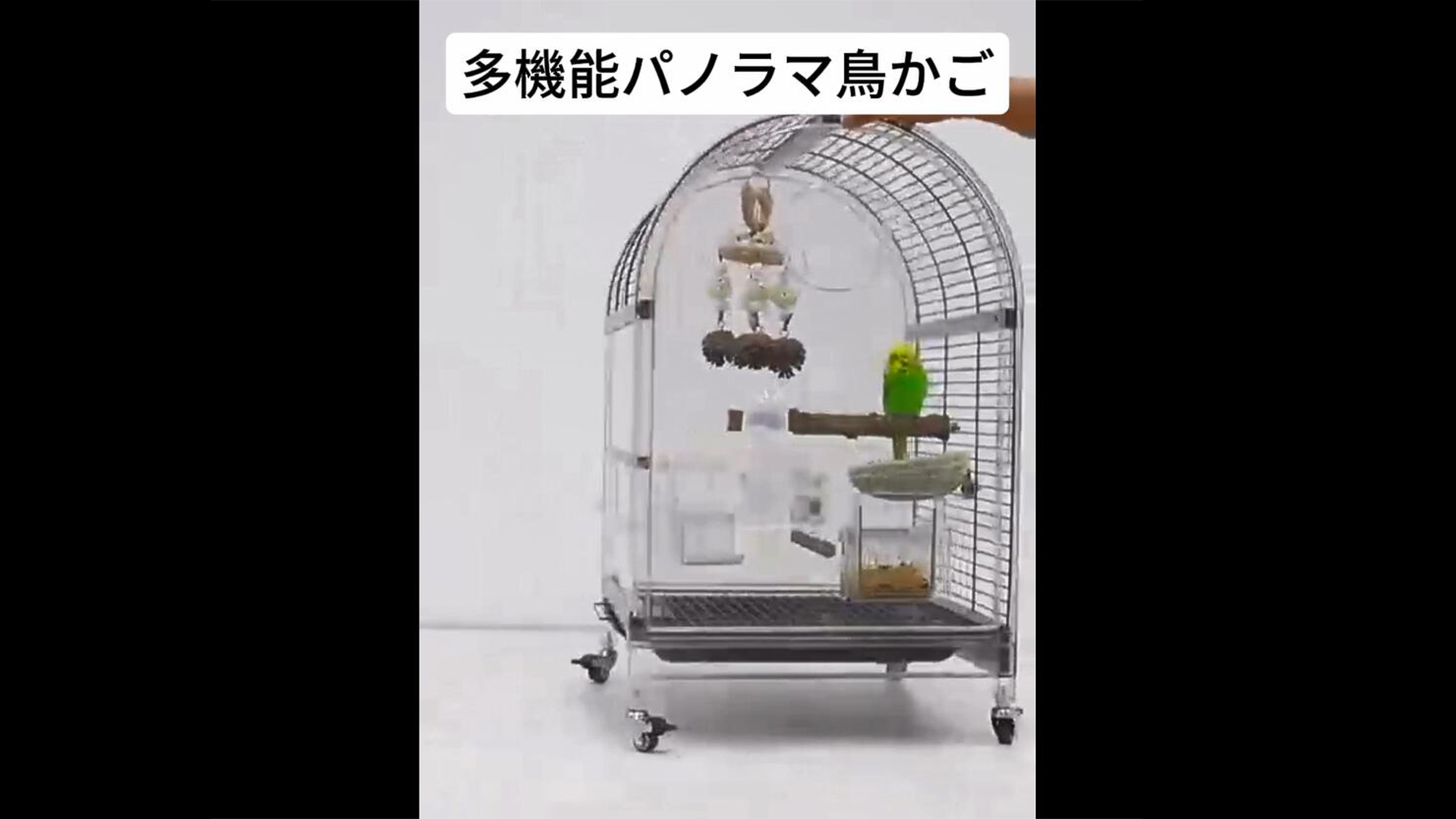 Amazon | 鳥かご インコ43*39*63CM 小型および中型のオウムに適してい