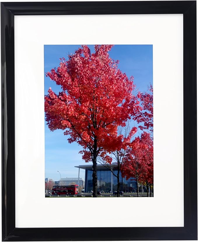 6 Best 8x10 Picture Frames for Stylish Home Decor 6 6 Best 8x10 Picture Frames for Stylish Home Decor