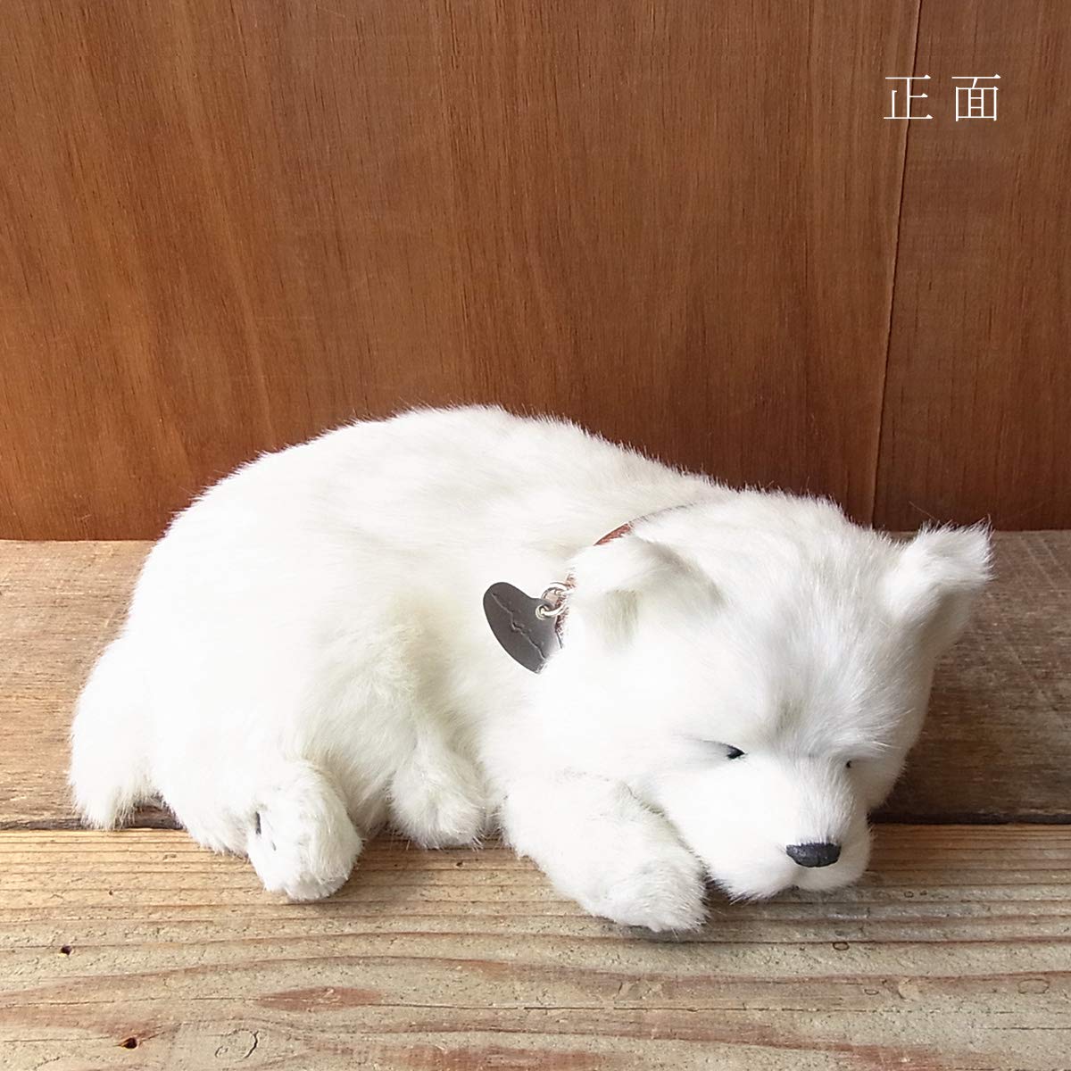 Amazon.co.jp: ニニアンドキノ パーフェクトペット (小サイズ) 北海道