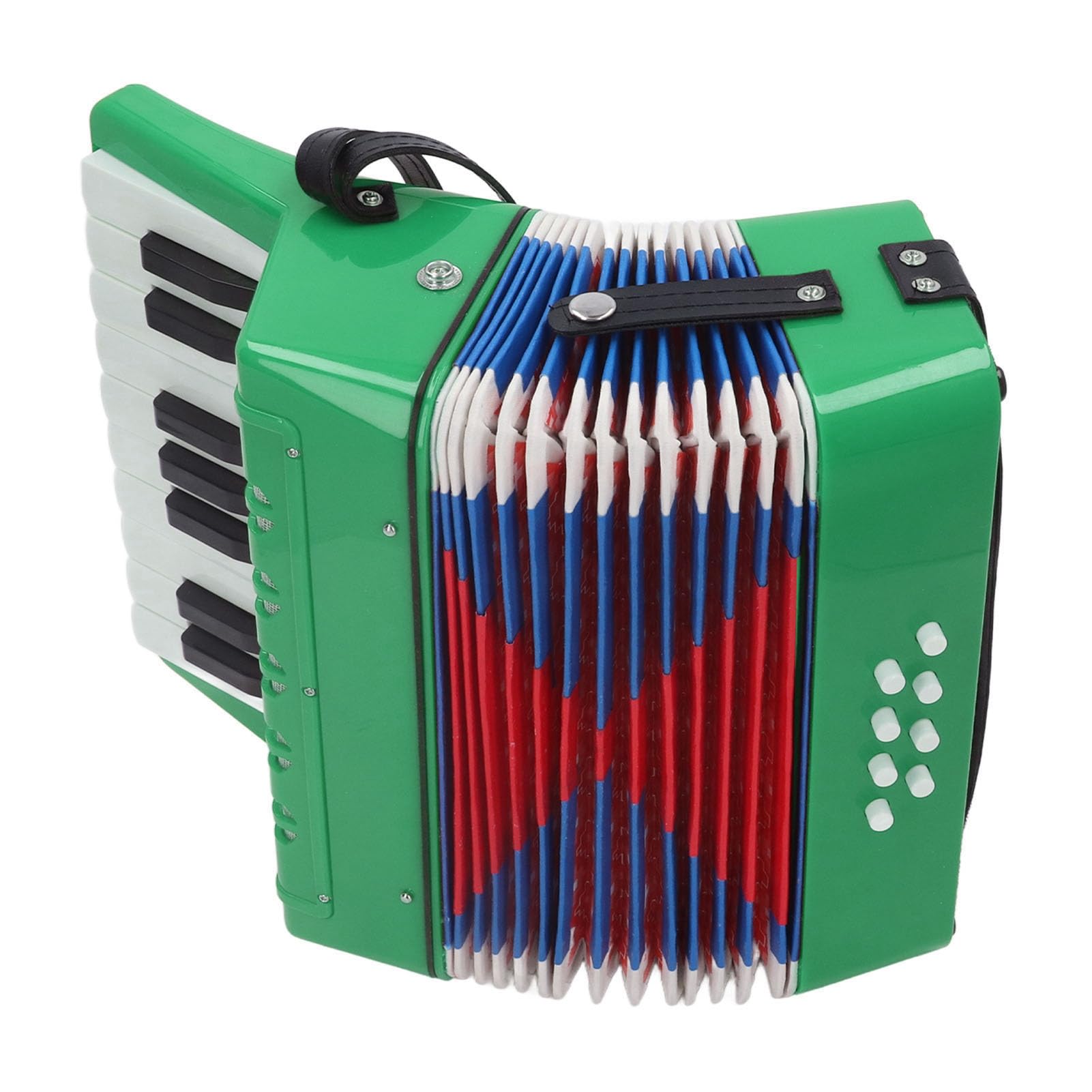 Fisarmonica a Piano ABS 17 Tasti Ideale per Bambini Principianti con Manuale Utente e Spartito Musicale (GREEN)