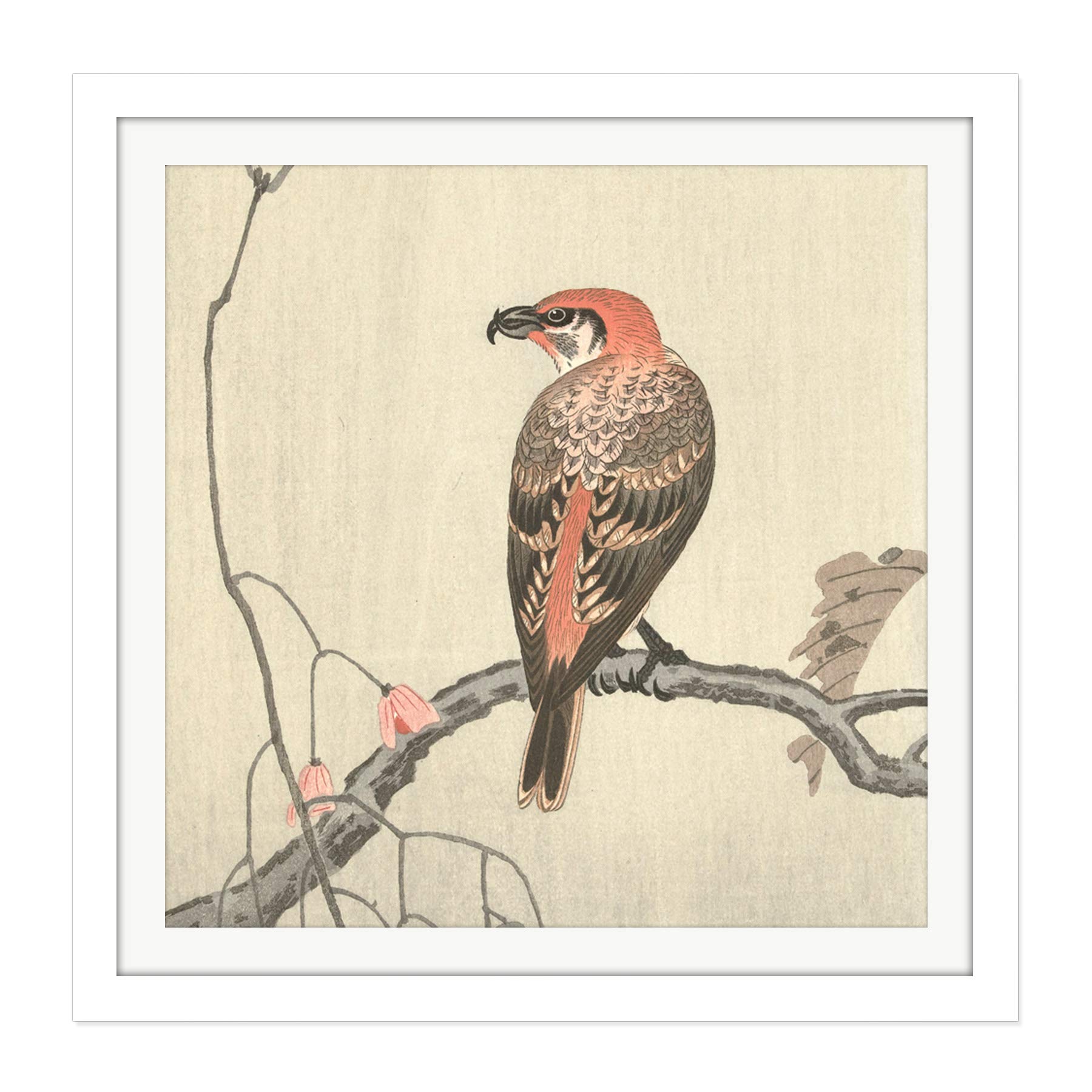 Artery8 Ohara Koson Crossbill On Tree Branch Japanese Square Wooden Framed Wall Art Print Picture 16X16 Inch