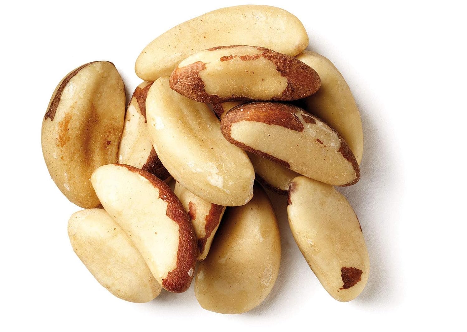 Bulk Brazil Nuts 25 Pound Wholesale Box