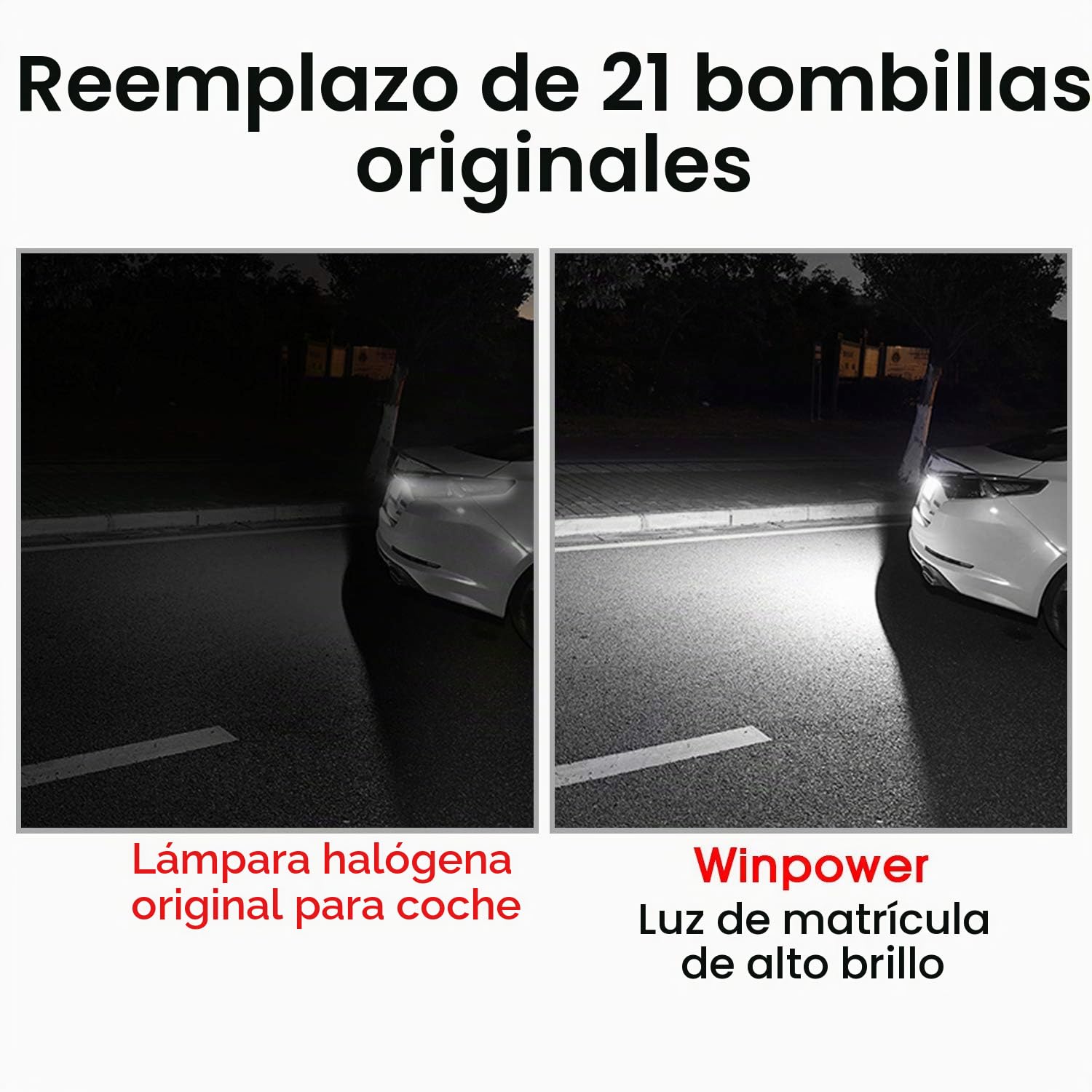 WinPower LED Luces de matrícula Lámpara Numero plato luces con CanBus No hay error 6000K Blanco Compatible con Fiesta6 BMax CMax SMax Focus2/3 Galaxy Ecosport Kuga2 Mondeo4/5 etc., 2 uds.