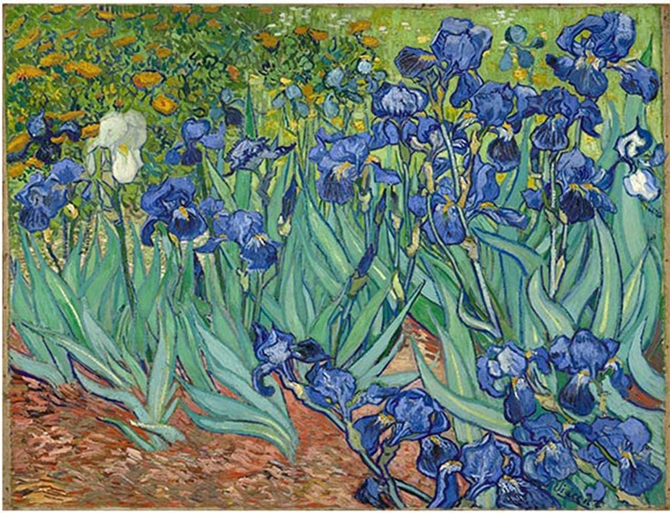 WOWDECOR DIY Painting by Numbers Kits Van Gogh Irises Flowers 40x50cm Arts and Craft Paint Kits (Flowers, Framed)