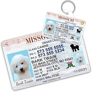 Missouri Driver License Custom Dog Tag for Pets and Wallet Card - Personalized Pet ID Tags - Dog Tags for Dogs - Dog ID Tag - Personalized Dog ID Tags - Cat ID Tags - Pet ID Tags for Cats
