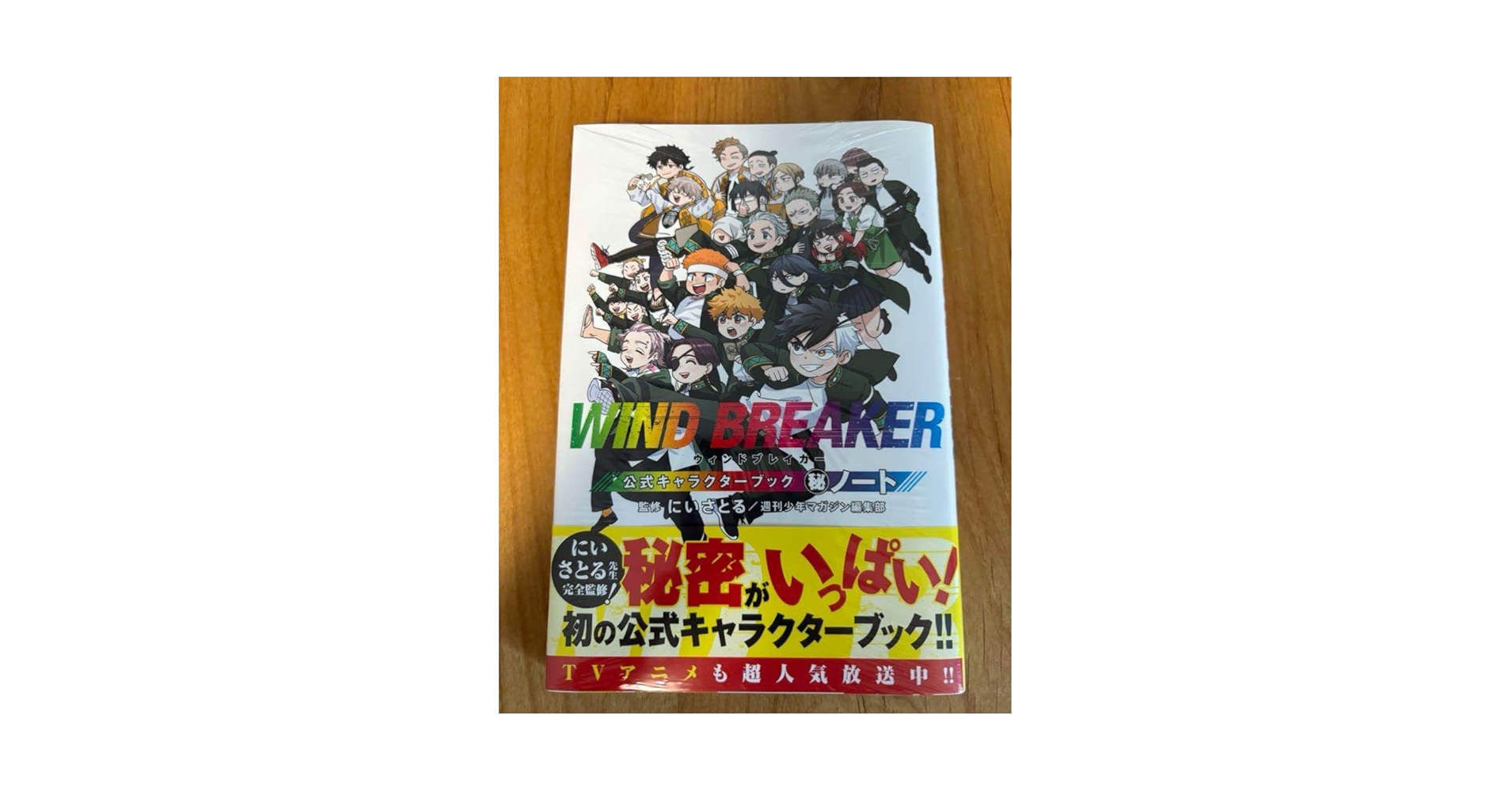 Amazon.co.jp: WIND BREAKER 公式キャラクターファンブック