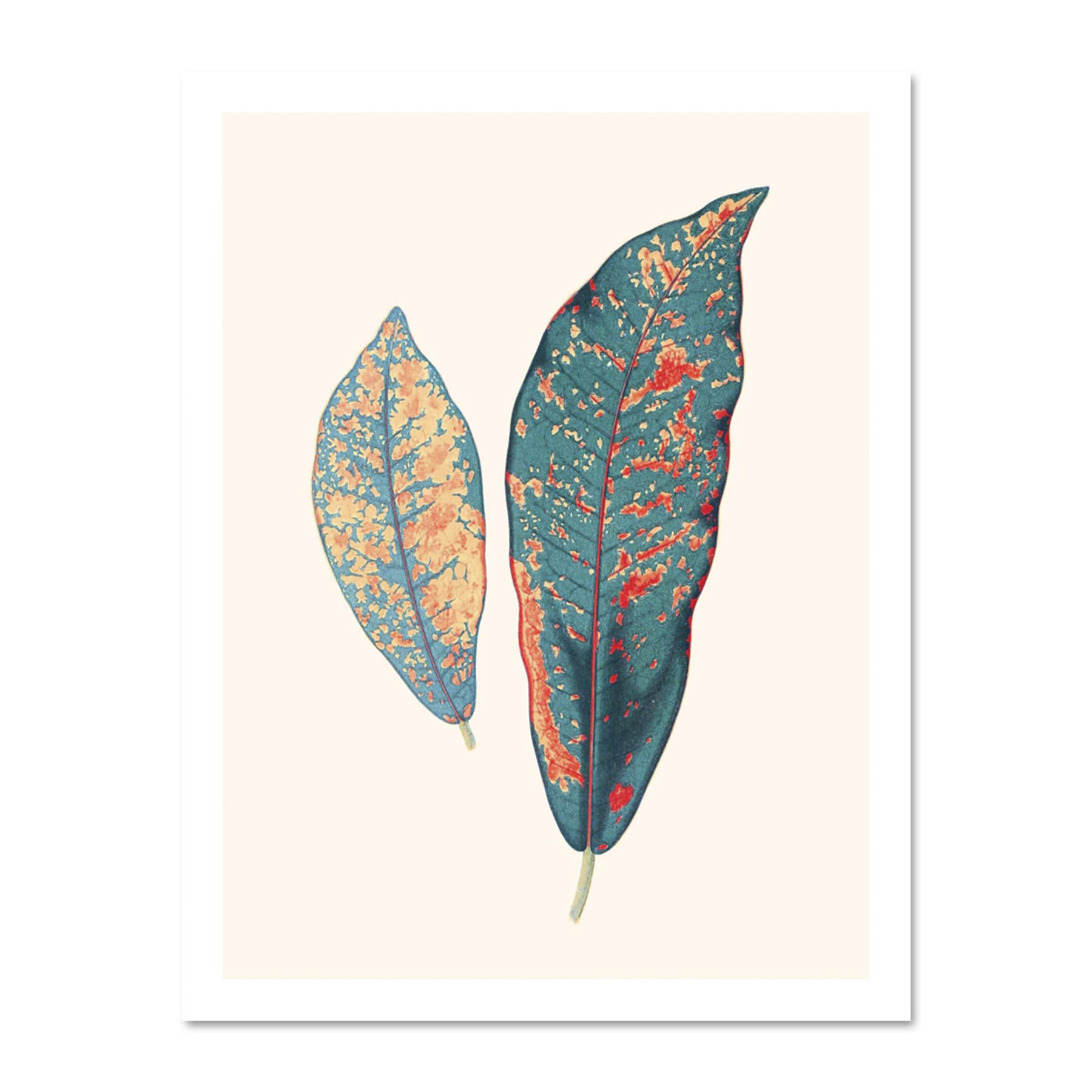 Wee Blue Coo Primary Coloured Exotic Leaves Large White Framed Art Print Wall Poster 18x24 inch