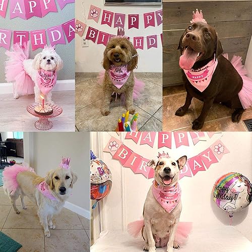 Miniatura 7 de ADOGGYGO Sombrero de cumpleaños para perro, bandana para niña, suministros para fiesta de cachorros, tutú rosa, bufanda, lazo feliz (rosa-2)