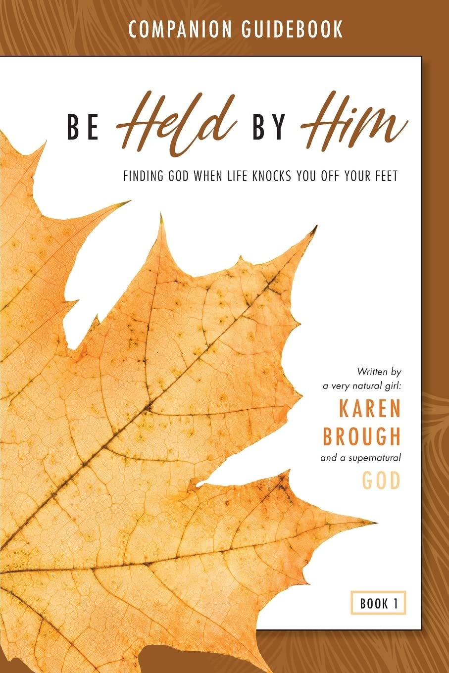 Be Held By Him Companion Guidebook: Finding God When Life Knocks You Off Your Feet: 1
