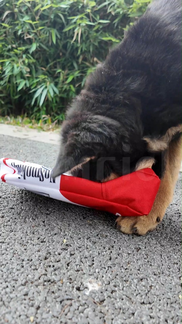 Juguetes Perros Cachorros Juguete Cigarrillo Para Perros