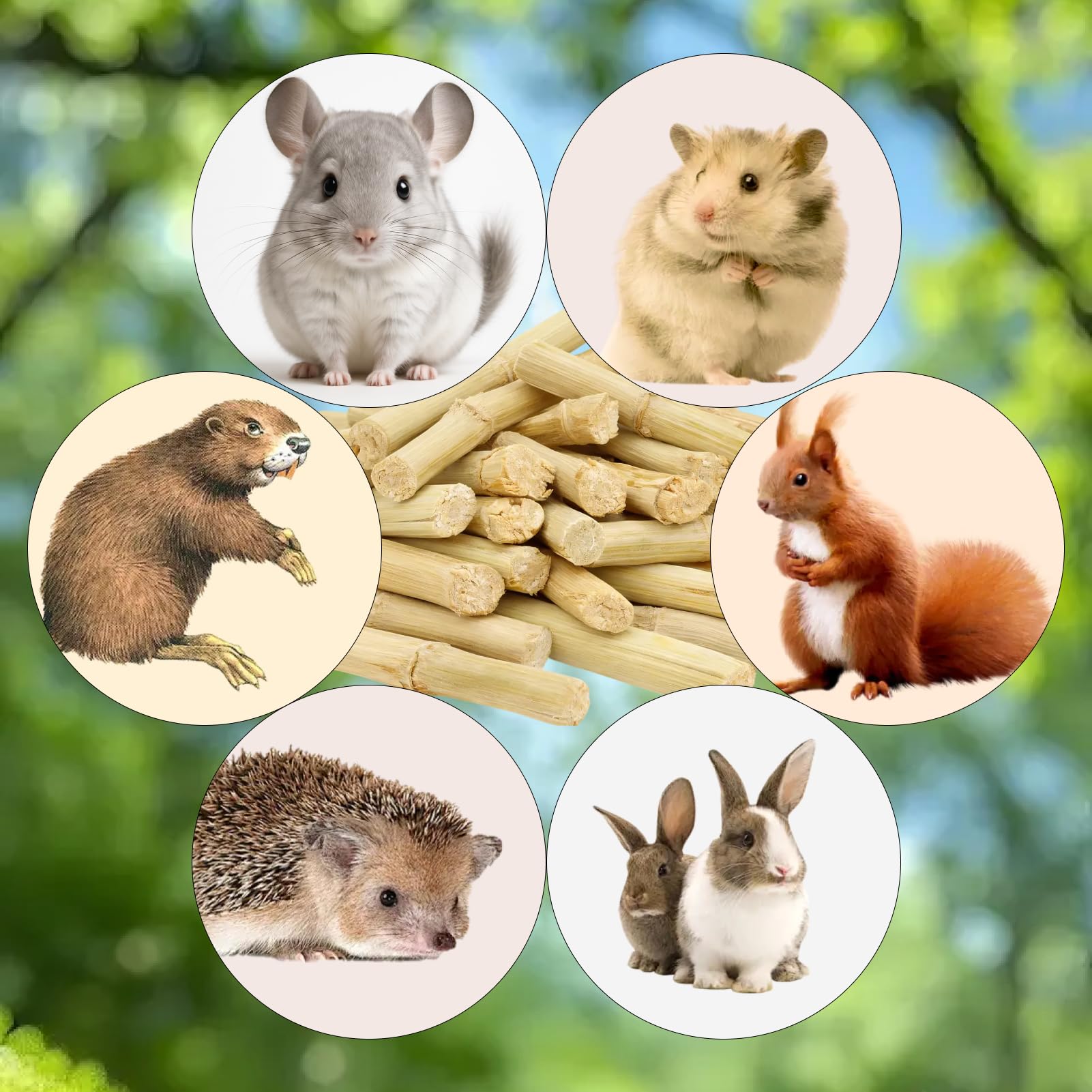 120g Barritas De Bambú Natural para Conejos, palitos Bambu para Conejos, Hámsters, Cobayas Y Chinchillas (Barritas De Bambú Natural 120g) — view 6
