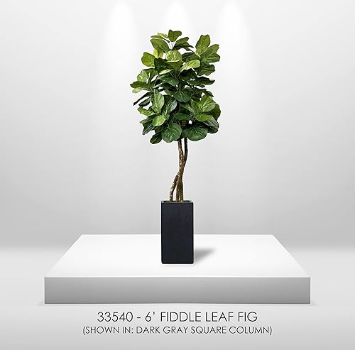 Miniatura 7 de Árbol de higo de hoja de violín de 6 pies, higo artificial de hoja de violín de imitación  6 pies de alto ficus lyrata  Plantas de interior grandes