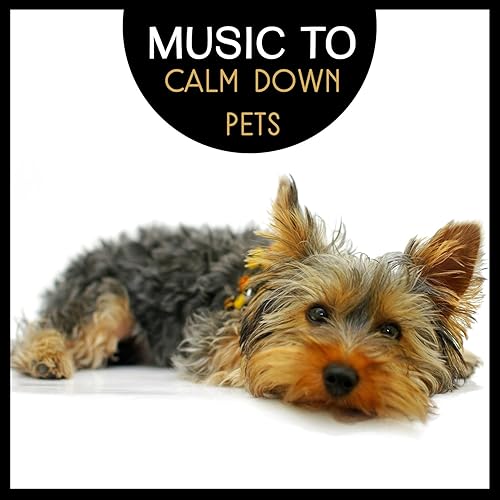 music to calm a dog down