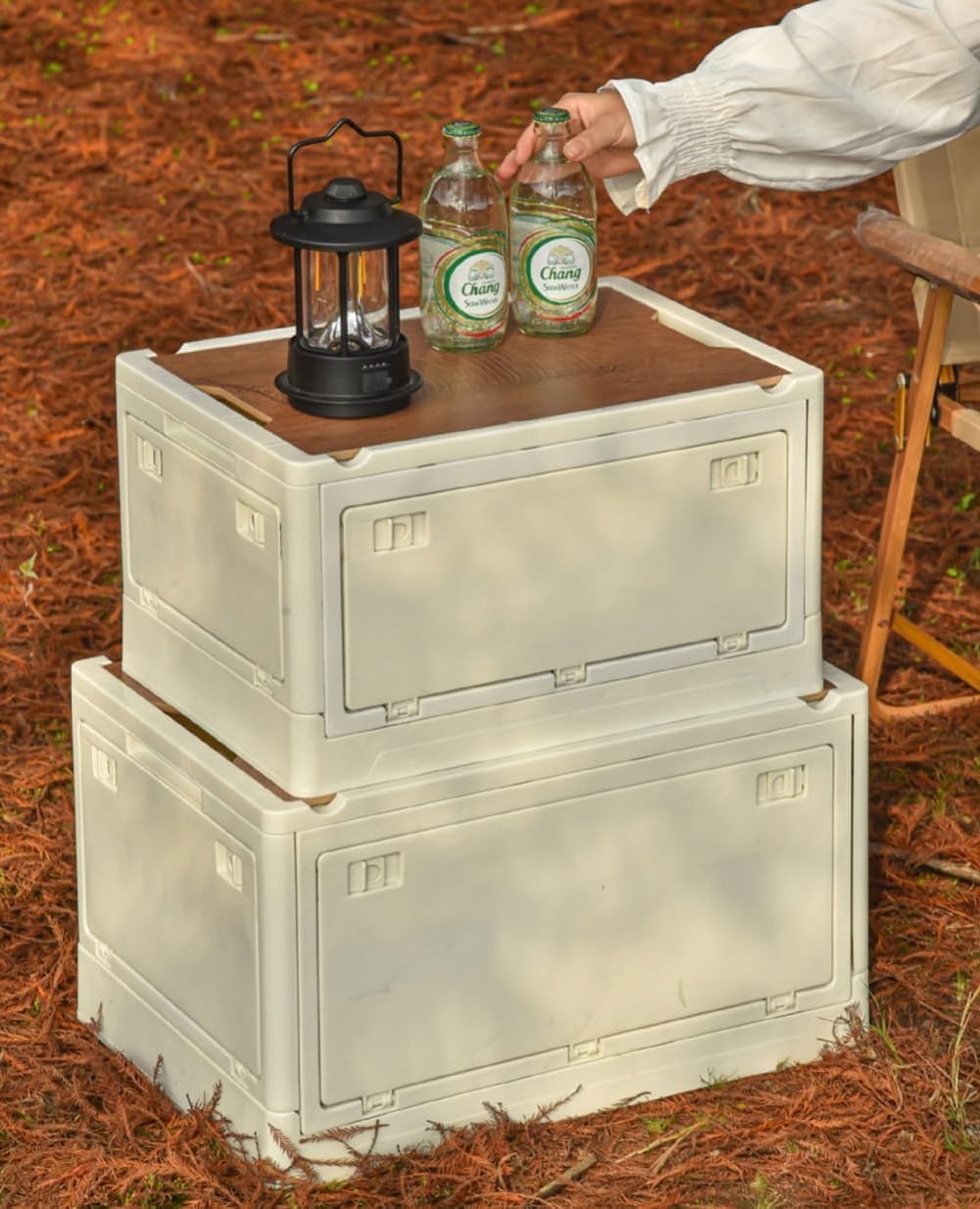 値下げ】ZEALズィール アライくんジタバタアライくん12個セット ケースつき