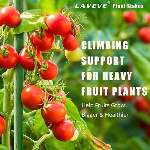 Miniatura 2 de Garden Stakes - Estaca para tomate de acero resistente de 48 pulgadas, soporte recubierto de plástico para asegurar árboles, plantas trepadoras