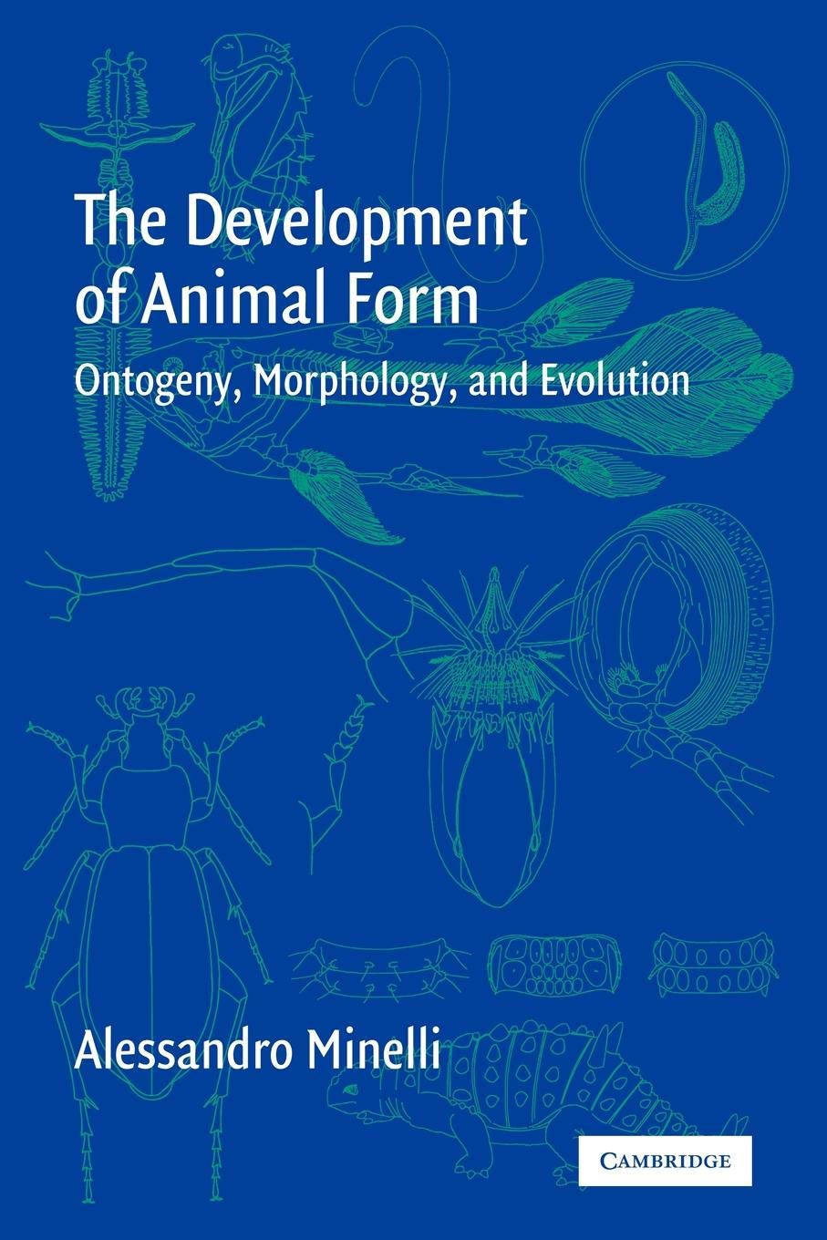 The Development of Animal Form: Ontogeny, Morphology, and Evolution