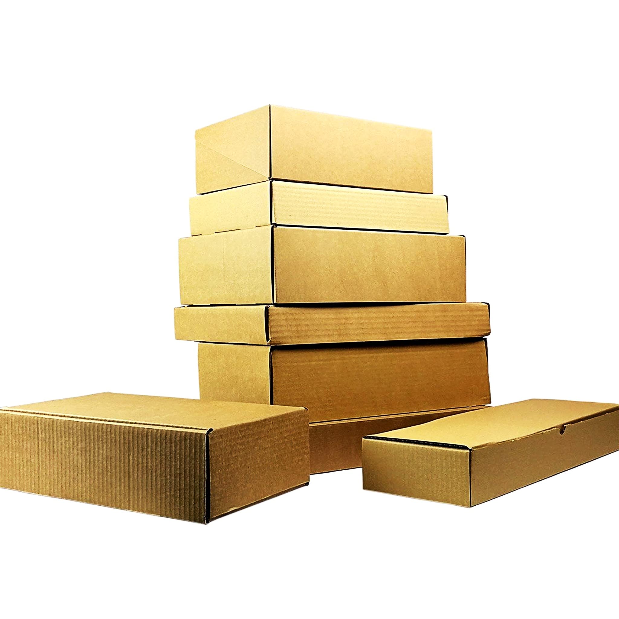 Bricoloco Cajas de cartón pequeñas o grandes automontables para envíos postales, almacenaje, mudanza, regalos, pastelería. Caja con tapa de fácil montaje. (230x160x20 mm, Cantidad 100 unidades)