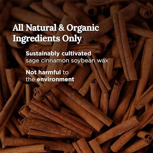 Miniatura 3 de MAGNIFICENT 101 Success - Vela de aromaterapia para la creación de impulso, salvia, bergamota, sándalo perfumada de cera de soja natural, vela de