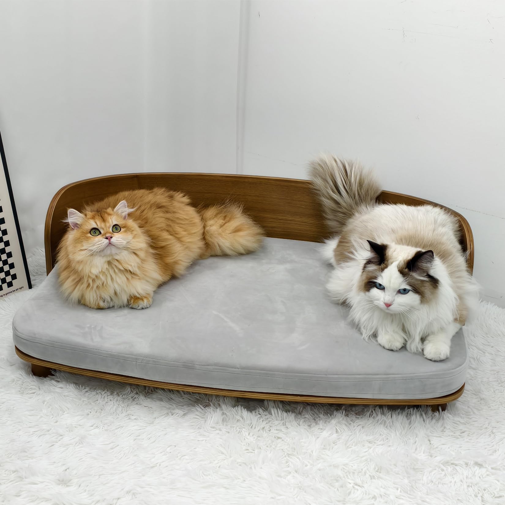 Amazon | BingoPaw 犬用ソファーベッド 中型犬 木製 可愛い 高級