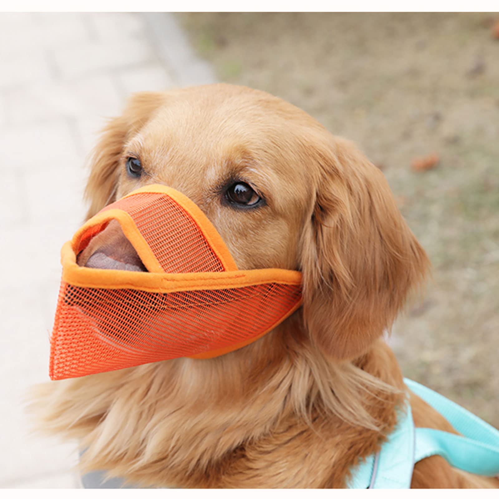 bozal de Perro Bozales de Boca de Perro,Bozal para Perros,Bozal Perros Bozal Antimordeduras Perro Dog Muzzle para Perros Pequeños Medianos Grandes.-Orange||L