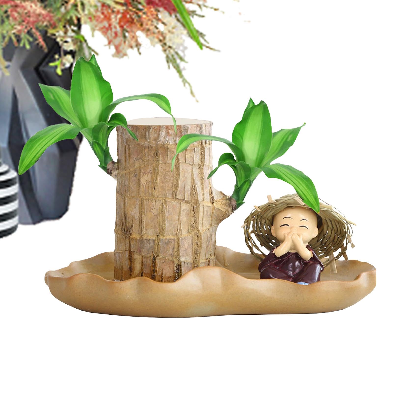 Pianta Legno Brasiliano Portafortuna - Bonsai Con Vaso E Ornamenti Panda Per Casa E Ufficio - Foto 2