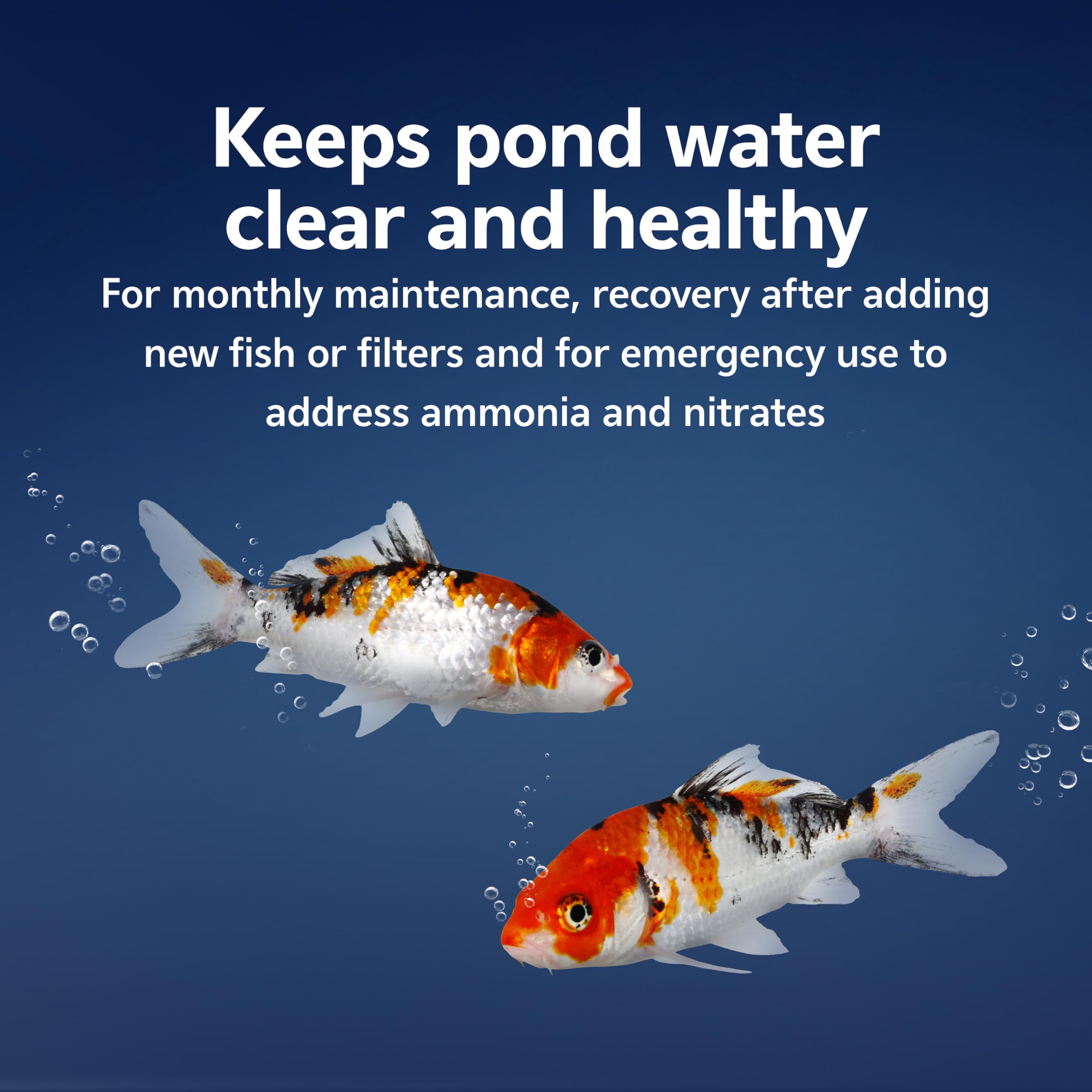 Pond Nitrates Snapklik.com : Pure Pond Bomb, Reduces Organic Waste, Ammonia And ...