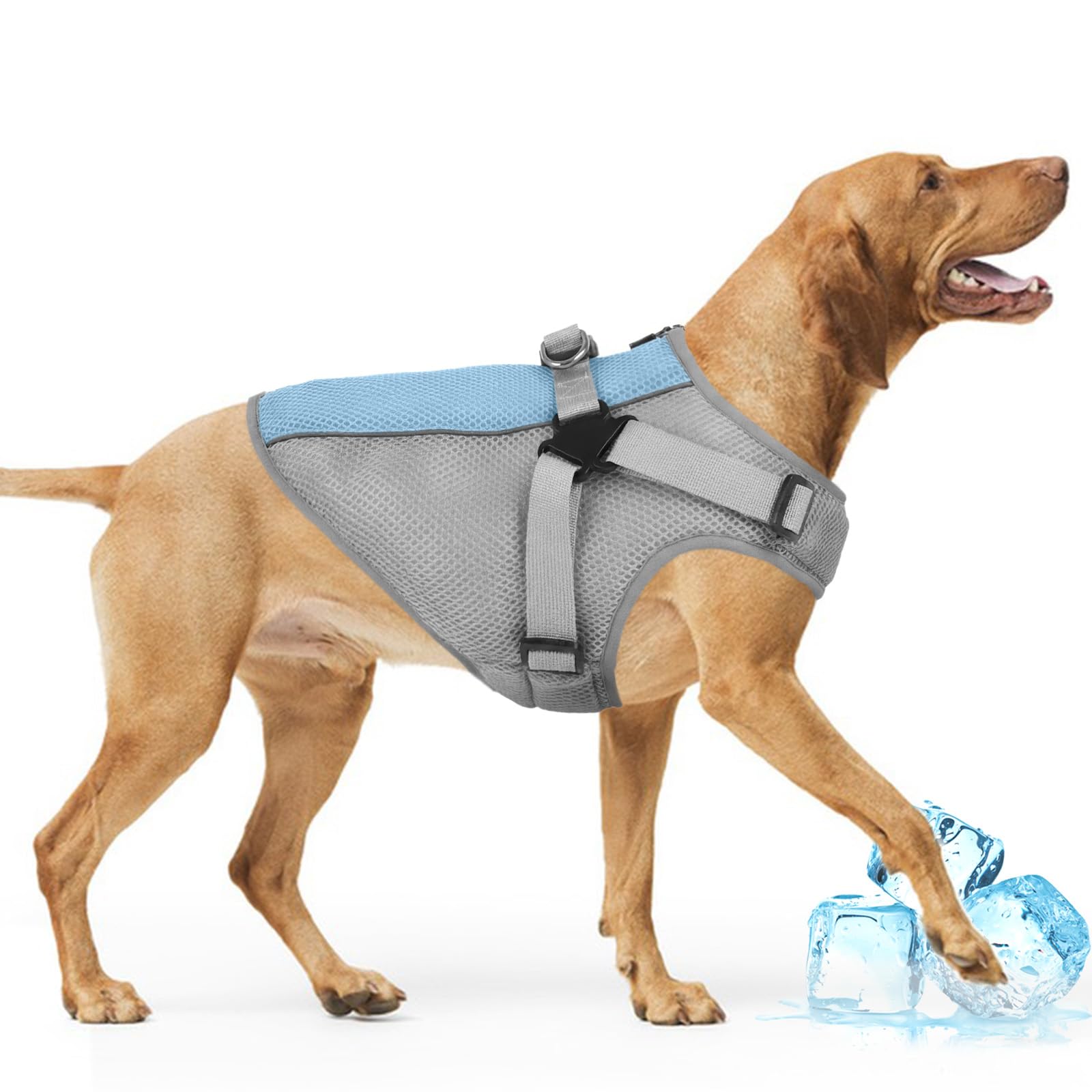 Gilet de glace pour chien contre le coup de chaleur veste fraîcheur réglable 2XL