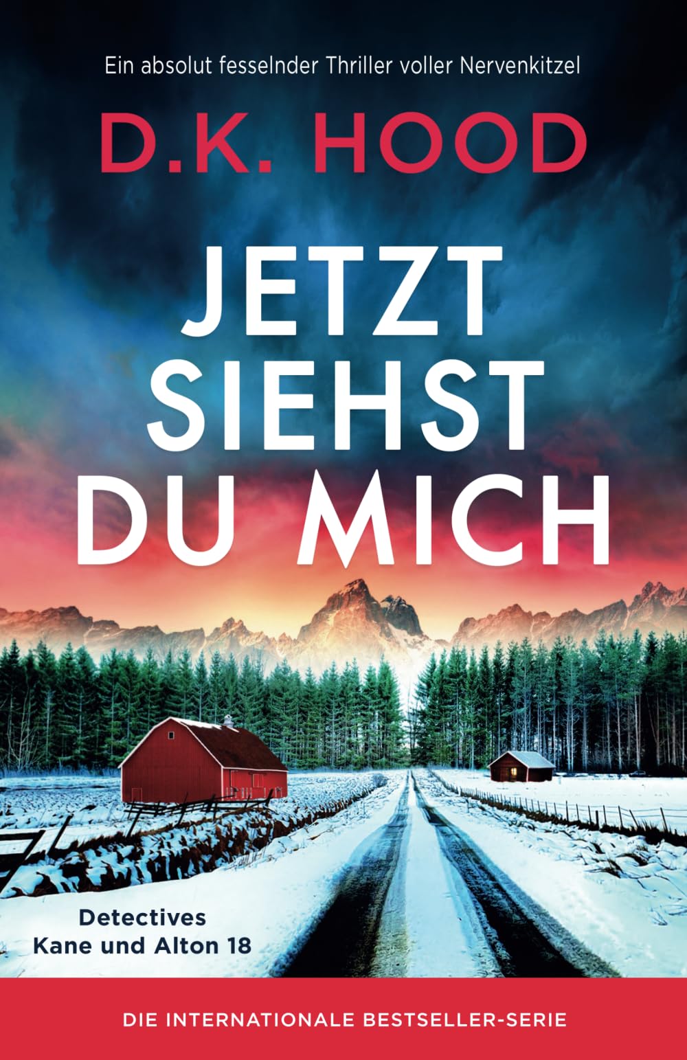 Jetzt siehst du mich: Ein absolut fesselnder Thriller voller Nervenkitzel (Detectives Kane und Alton)