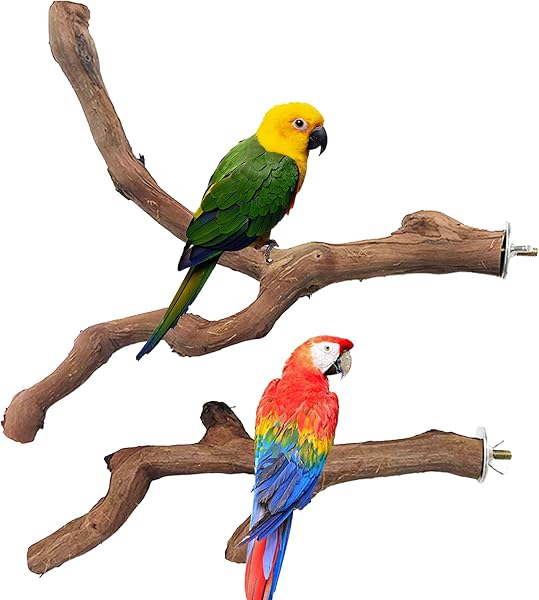 4 Pz Perchas Naturales para Pájaro, Juguetes para Pajaros, Perca de Pájaro, Madera de UVA Salvaje para Jaulas de Pájaros para Cacatúas, Periquitos y Pinzones - 2
