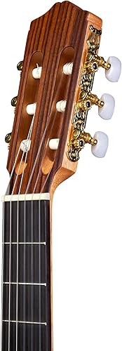Miniatura 4 de Cordoba C1M - Guitarra acústica clásica de nailon de la serie Protégé