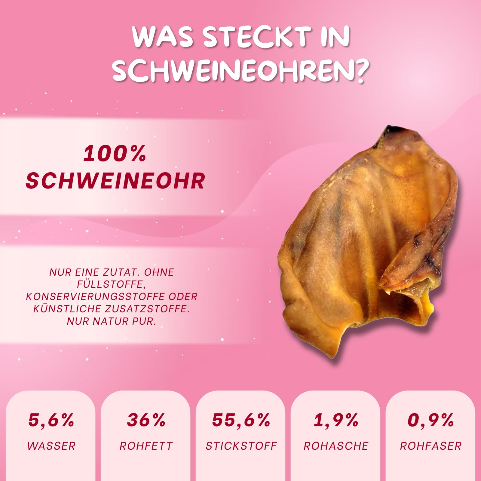 Schweineohren Hunde - 100% natürlicher Kauartikel Hund - Hunde Leckerlis Getrocknet, ohne Zusätze - Unterstützen die Maulhygiene - Reich an Proteinen und Kollagen - Langer Kauspaß - 10 Stück