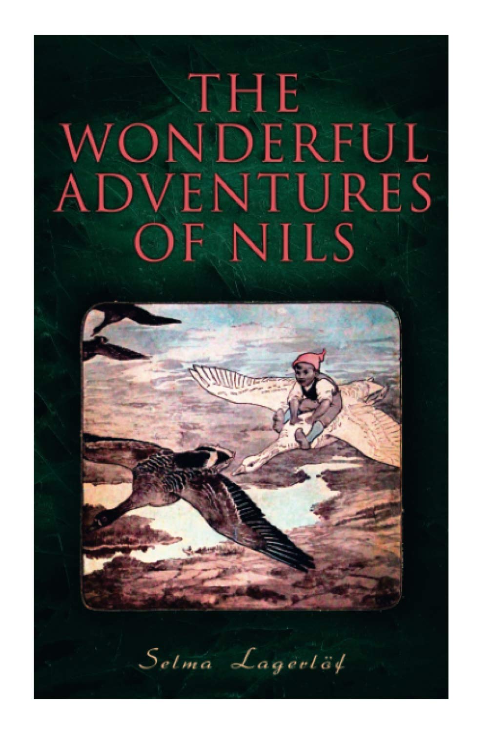 The Wonderful Adventures of Nils