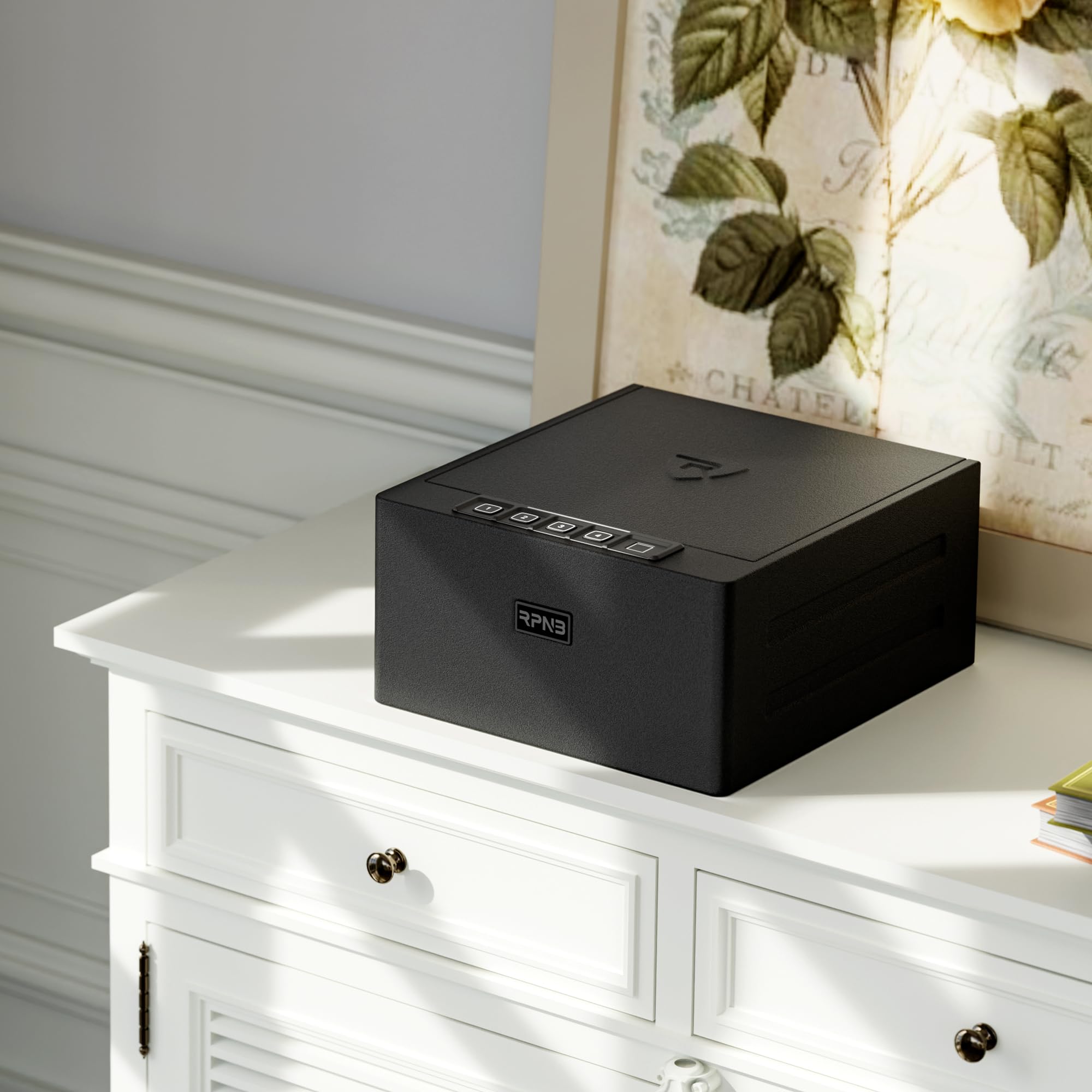 RPNB Gun Safe, Biometric Gun Safe for Handgun, 4 Pistols High Capacity Handgun Safe with Digital Keypad, Biometric Fingerprint