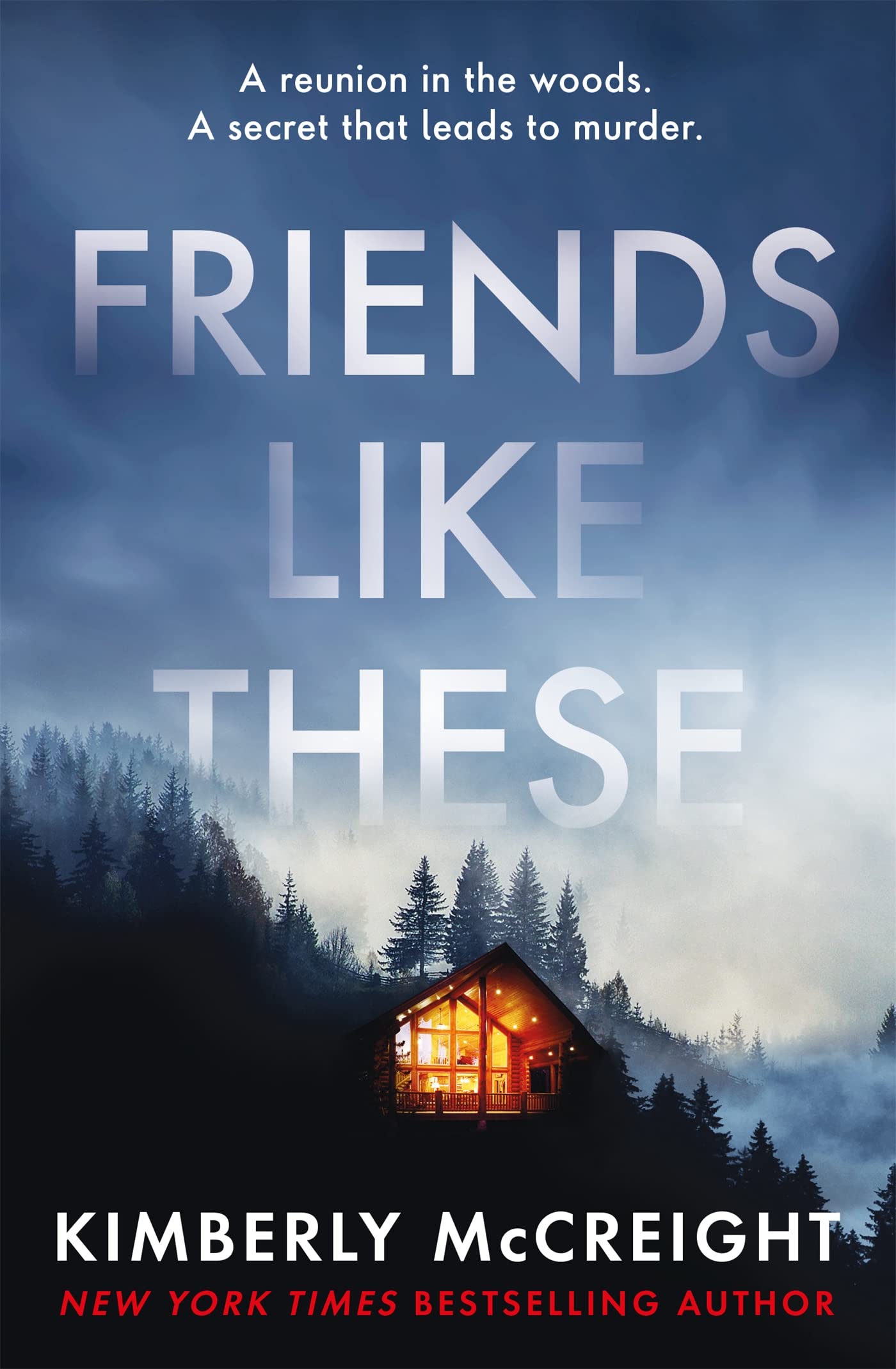 Friends Like These by Kimberly McCreight (Paperback Book)