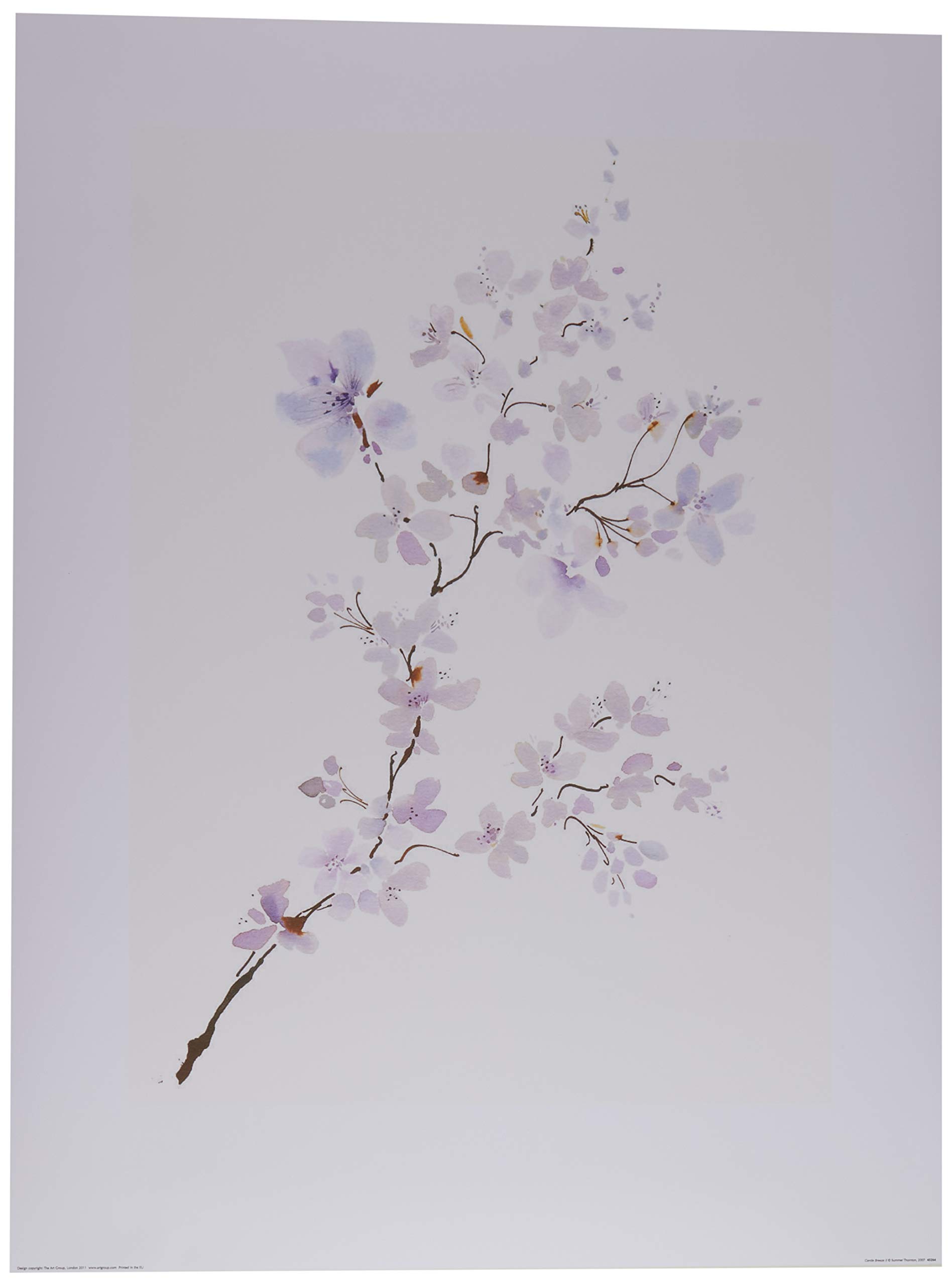 The Art Group Summer Thornton (Gentle Breeze II) -Art Print 60 x 80cm, Paper, Multicoloured, 60 x 80 x 1.3 cm