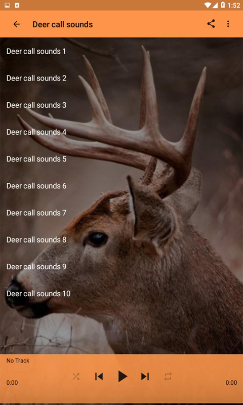 A deer / 鹿 91K2wuDz8QL._AC_UF350,