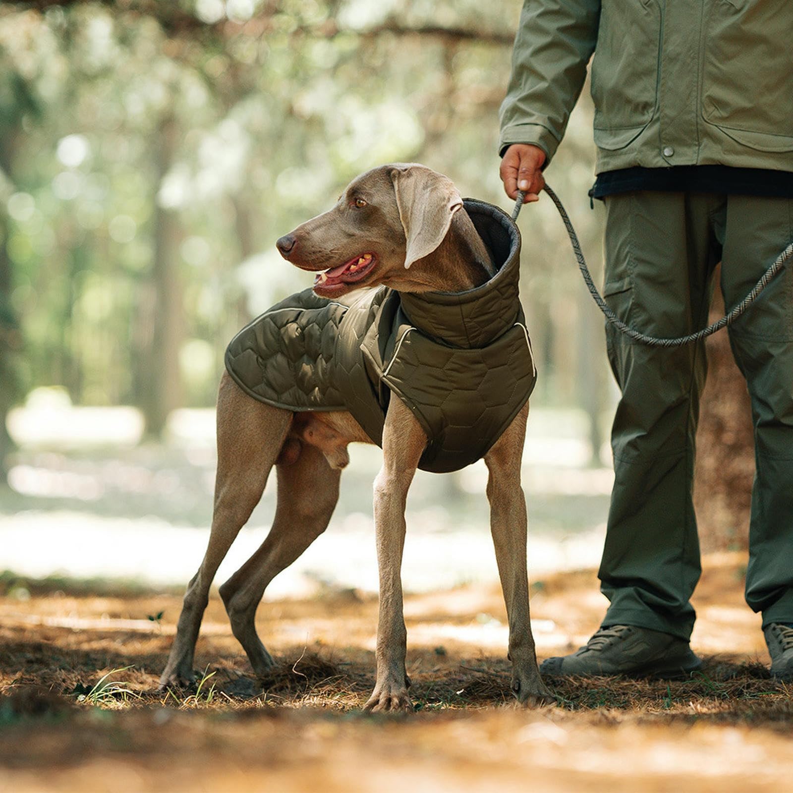 Chaleco De Abrigo para Perros De Invierno, Chaqueta De Cuello De Tortuga para Perros Grandes con Tiras Reflectantes Y Ropa De Nieve De Mascotas Forrada Y Lellada para Al Aire Libre FríO