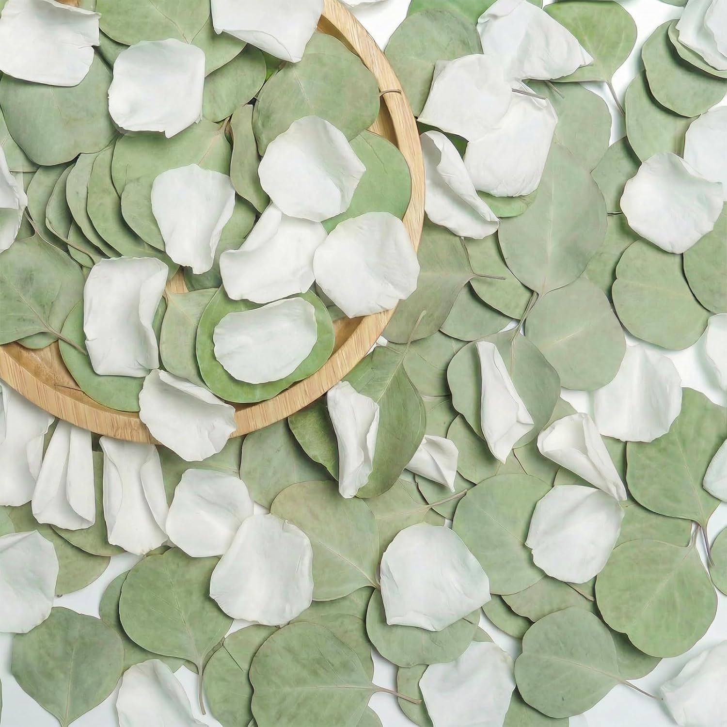 500+PCS Real White Rose Petals & Natural Eucalyptus Leaves, 4.23oz (120g) – Freeze Dried Flower Petals Confetti for Wedding Flower Girl Toss, Aisle Runner, Table Scatter, Bridal Shower Decor