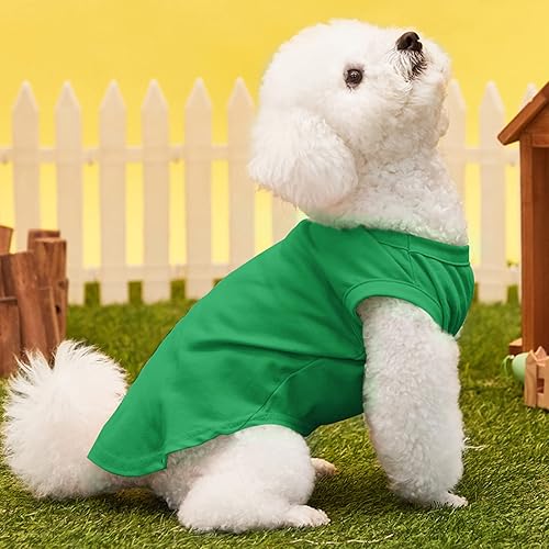 Miniatura 6 de DegGod Camisetas personalizadas para perros con nombre para mascotas, transpirable, estampado personalizado o nombre bordado, ropa de verano sin