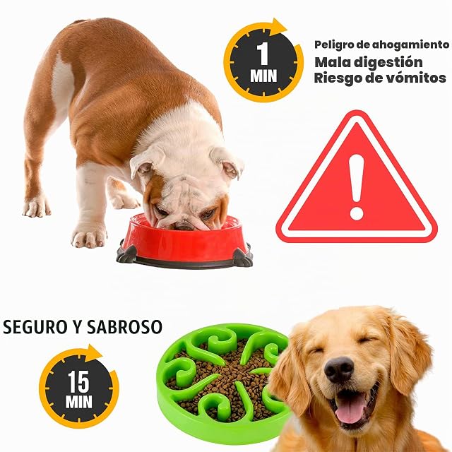 Foto 2 de 6 de Edipets, Comedero Perro Antivoracidad, Gato Alimentación Lenta, para Mascotas Medianas y Grandes