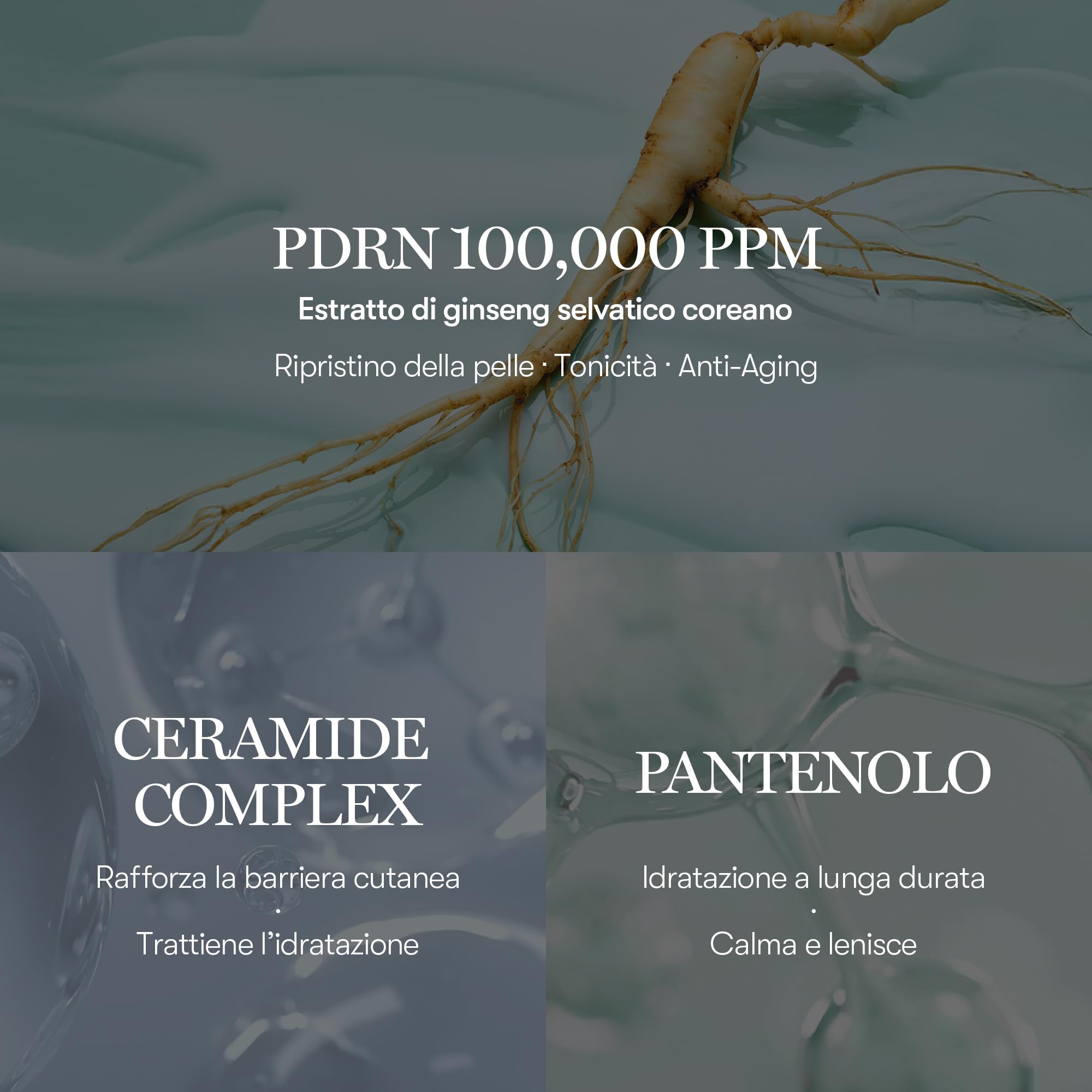 VT COSMETICS PDRN 100 Essence, Siero Illuminante Intensivo, PDRN Vegano 100,000ppm, Rigenerazione e Rimpolpamento della Pelle, Idratante e Nutriente, Rassodante, Anti-rughe (30ml / 1.01 fl. Oz)