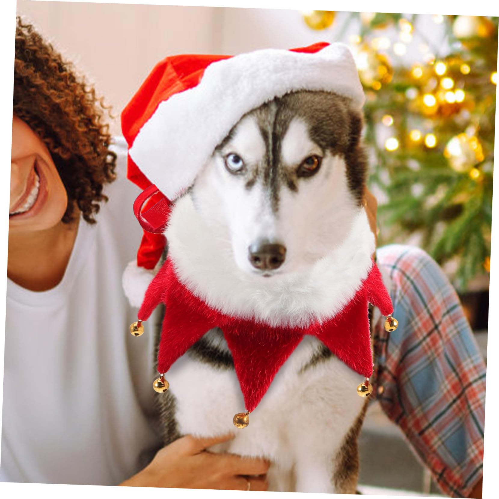 Collier de Noël pour Chien avec Clochette Accessoire Léger et Facile à Enfiler Collier Classique pour Chiot et Chat