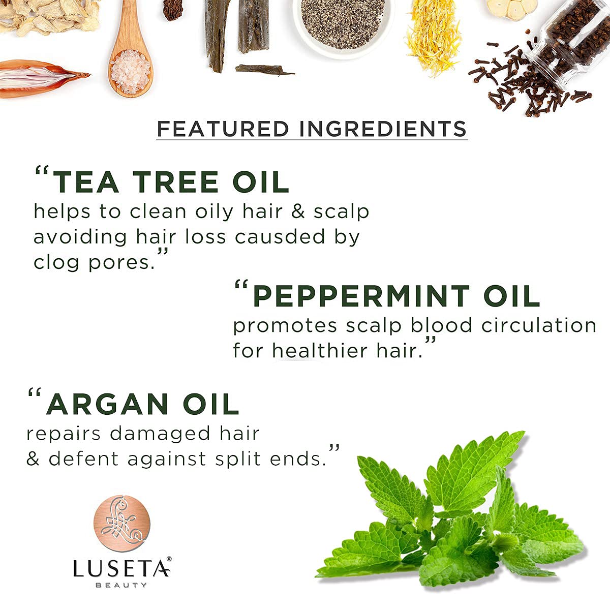 Luseta Tea Tree & Mint Shampoo Cleansing and Soothing for All Hair Types Nourishing & Invigorating Scalp Fights Dandruff 16.9 Oz - Image 4