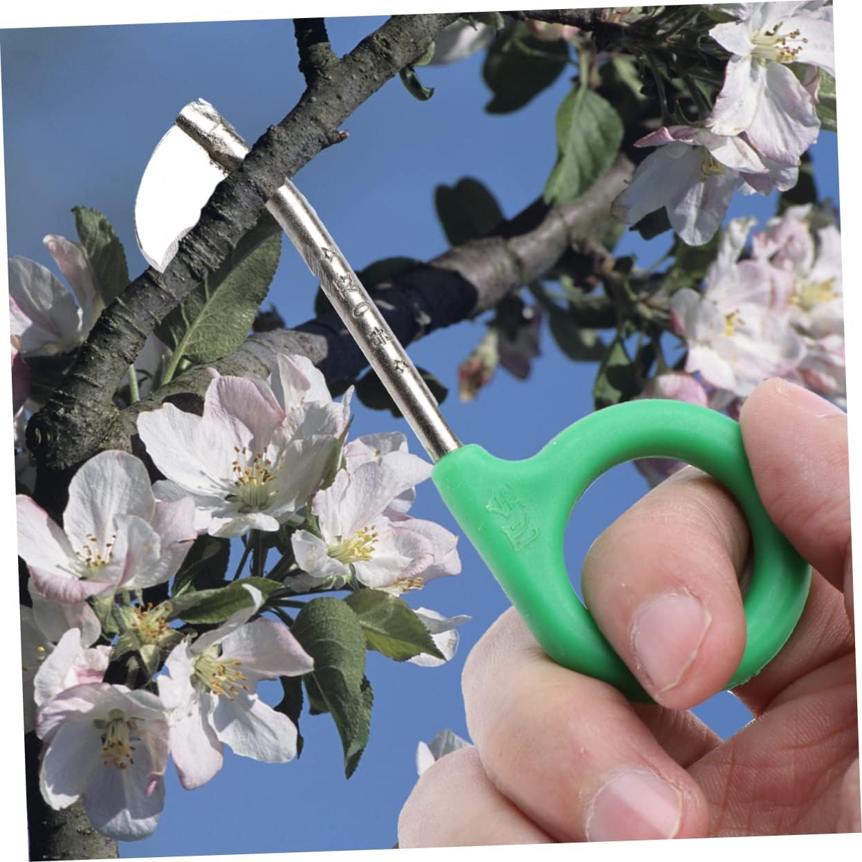 Toddmomy 2pcs Fine-edged Ring Cutter for Peach Special Design Sharp Edges for Effortless Gardening and Cutter Green