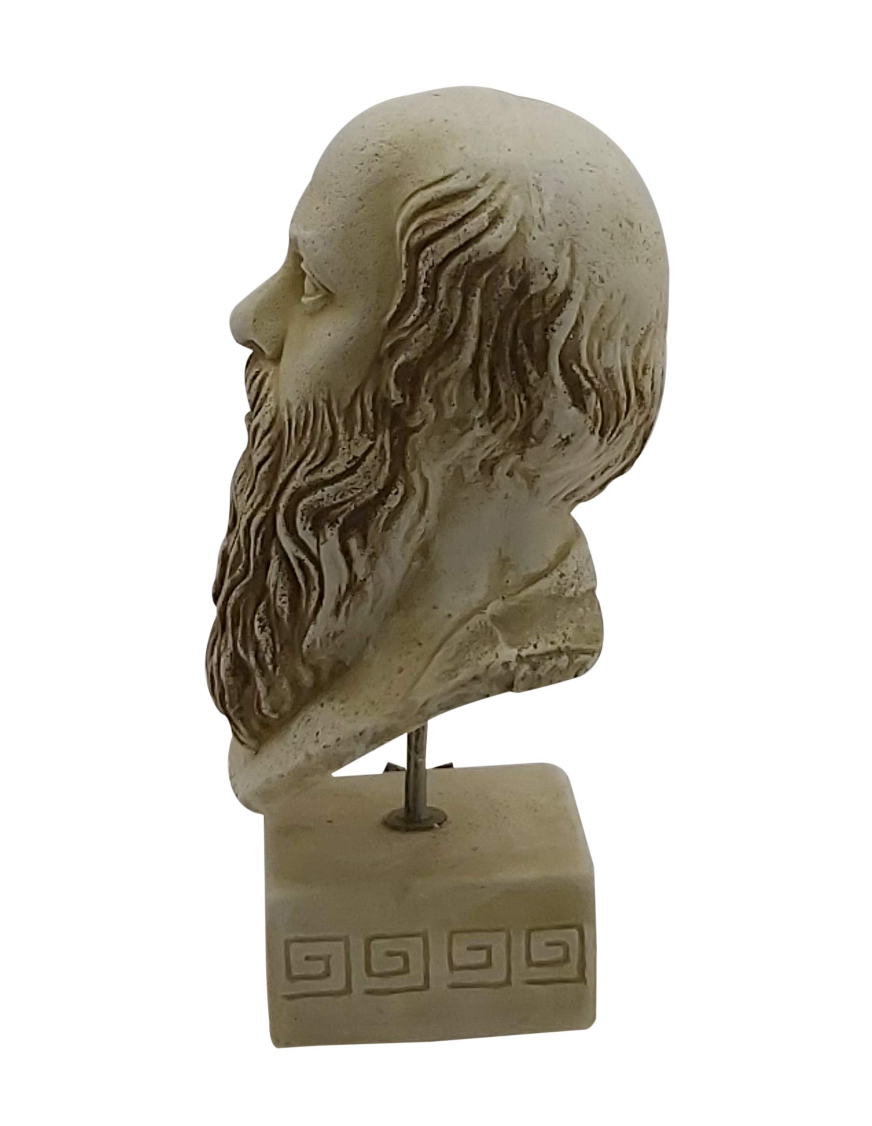 Sócrates Antiguo Filósofo Griego Busto Cabeza Escultura Piedra de Fundición