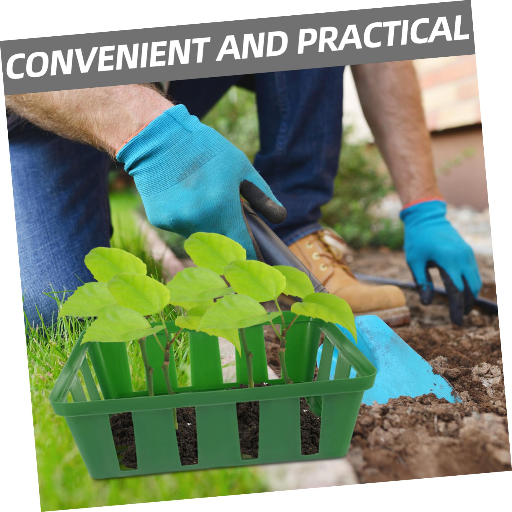 BESPORTBLE 15pièces Bacs De Culture Plastique pour Plantes Plateaux De Jardinage pour Et Légumes pour Culture Intérieure Et Extérieure