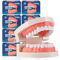 Vista 5 de LA MIERE 1 paquete de modelo de dientes estándar adulto tipodonto para demostración de prótesis dental para niños, enseñanza dental, exhibición