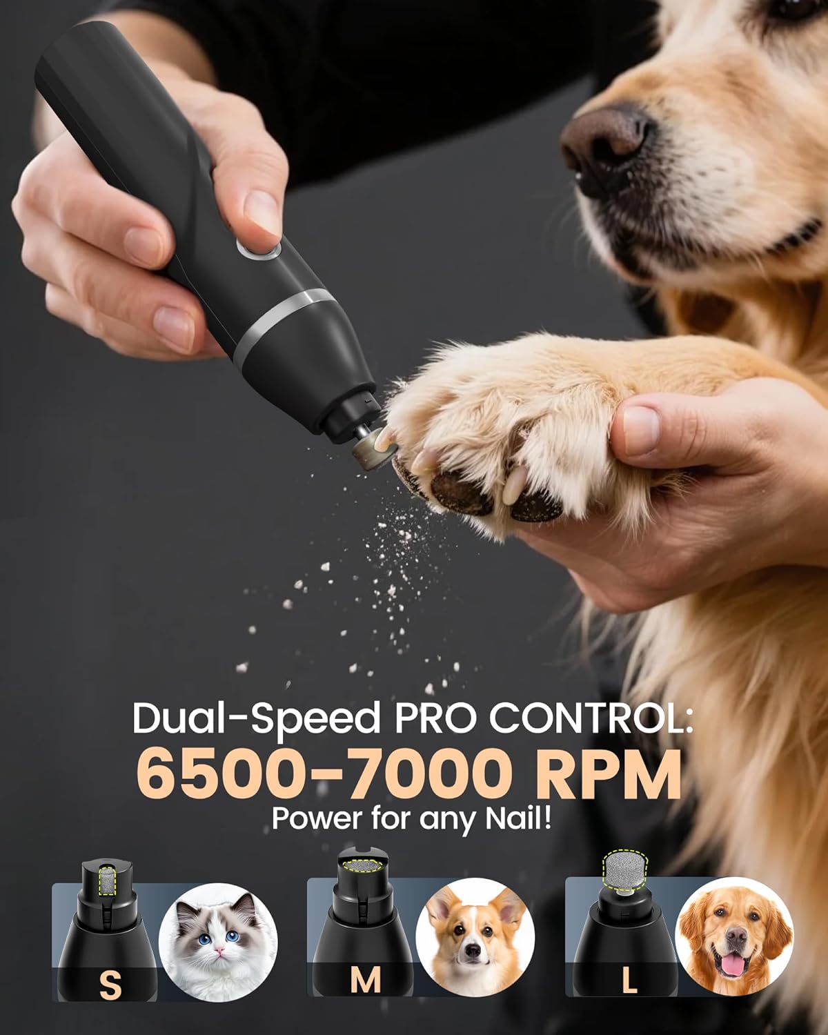 PAPMINI 4 in 1 Dog Grooming Kit for Thick Hair, 2000mAh Heavy Duty Dog Clippers for Grooming, 2-Speed Low Noise Paw Trimmer with Nail Grinder for Body, Paws, Nail, Face, Ears, Legs
