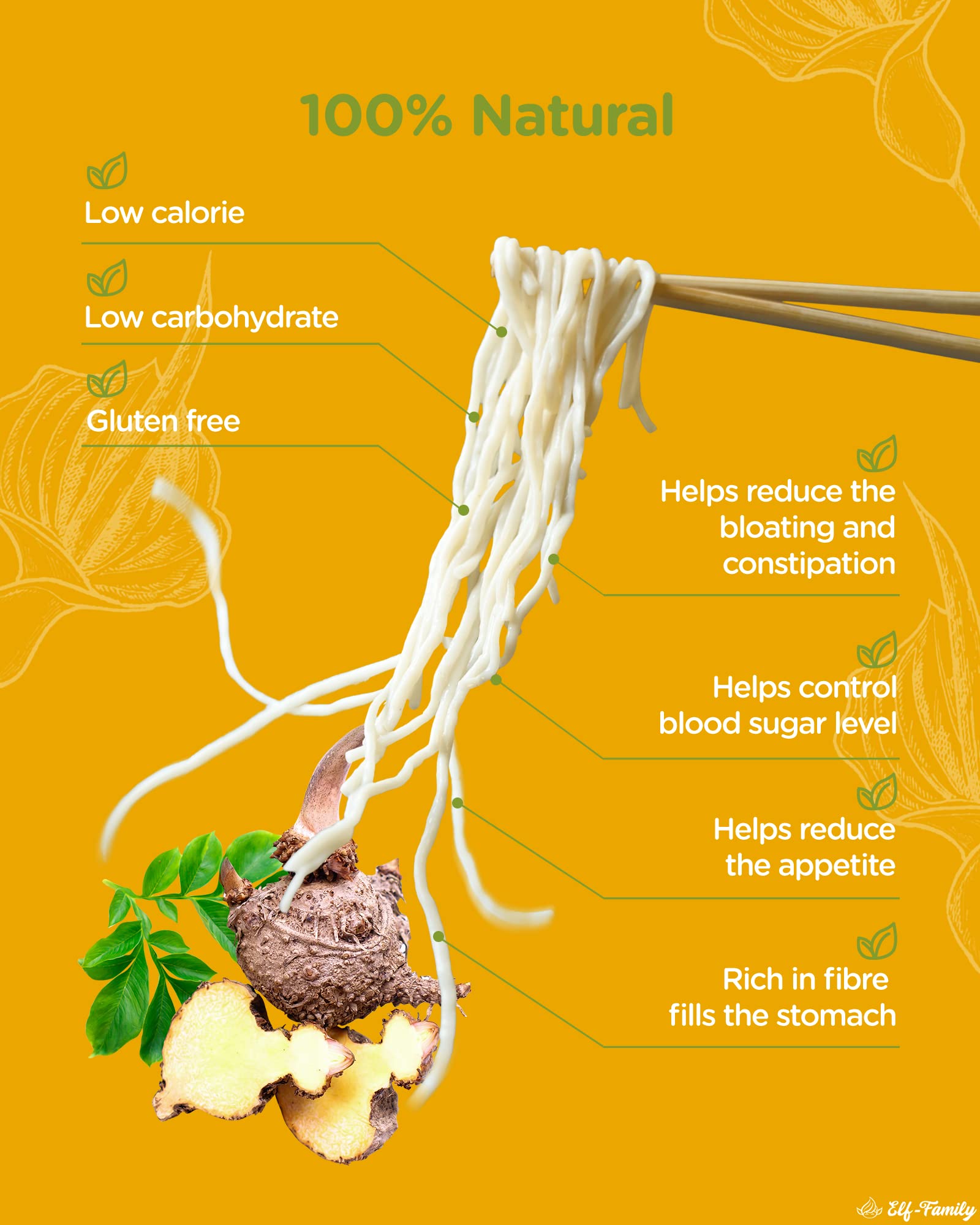 Elf-family [Nuevo] Pasta Konjac Keto de Tailandia Bajo en calorías/Bajo en carbohidratos/Vegano/Sin gluten Fideos Konjac Noodles Shirataki Oat Fibre/Sin azúcar - Spaghetti, 240g x 6 cajas(12 paquetes)