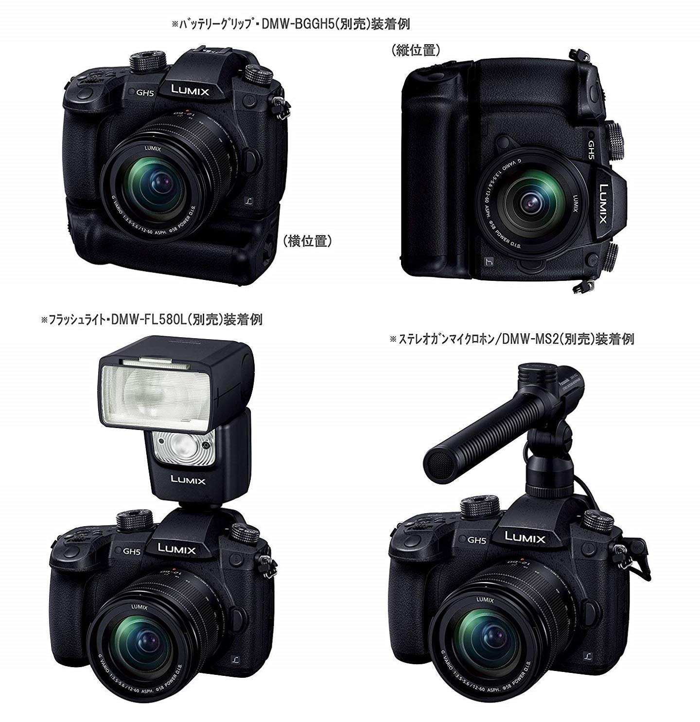 Amazon | パナソニック(Panasonic) ミラーレス一眼カメラ ルミックス 